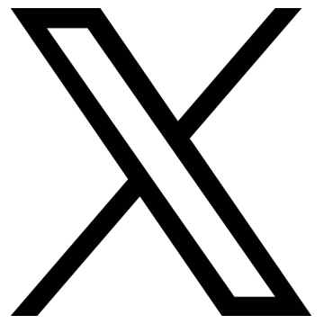 公式X