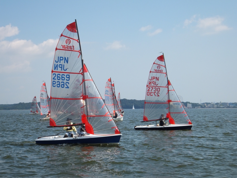 ヨット日本セーリング連盟 JAPAN SAILING FEDERATION(JSAF) レースの詳細