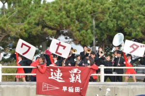 総合優勝の早稲田大学の応援風景
