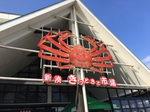 1-img_6964