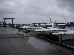6-pb290305