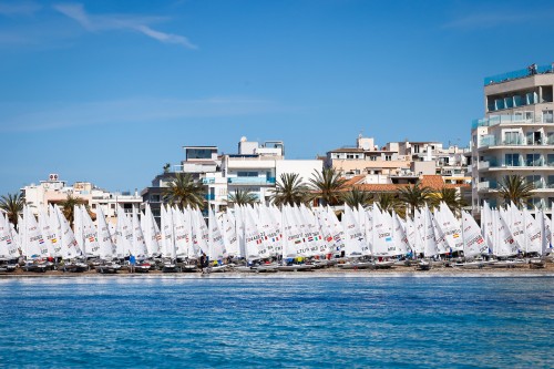 ILCAクラスだけでもこの数！© Sailing Energy / Princesa Sofía Mallorca