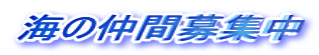海の仲間募集中
