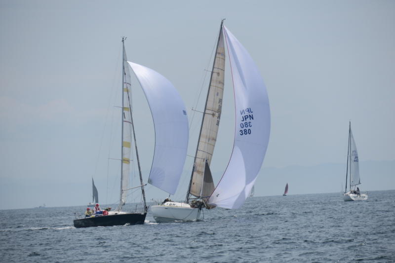 三浦外洋セーリングクラブ